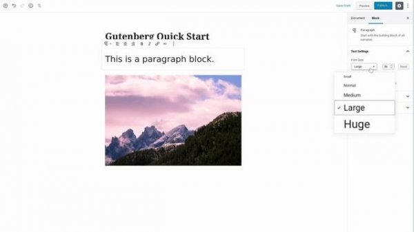 WordPress Gutenberg Editor - Quick Start Tutorial