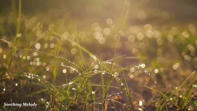 🍀Relaxing Sleep Music 🌿 Sleeping Music, Healing Music, Fall Asleep Fast, Water sound🎹 смотреть онлайн