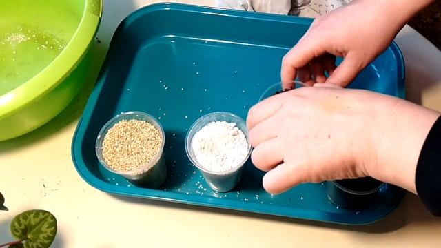 Кокосовый грунт, подготовка. Часть 2 смотреть онлайн