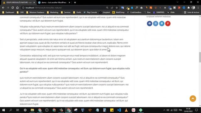 Présentation du Cours : Création d'un Blog Avec WordPress & OceanWp смотреть онлайн
