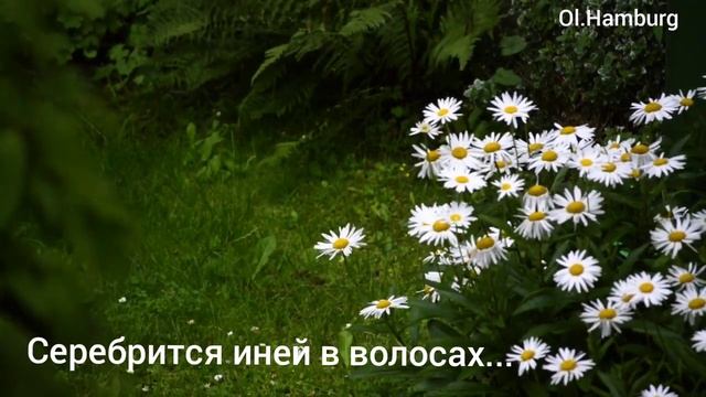 Серебрится иней в волосах... смотреть онлайн