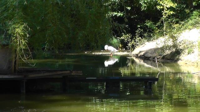 Зум и стабилизация Panasonic V700 смотреть онлайн