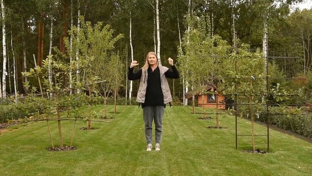 Обзор молодого сада | Ландшафтный дизайн 20 соток | Плодовый сад | Цветники непрерывного цветения смотреть онлайн