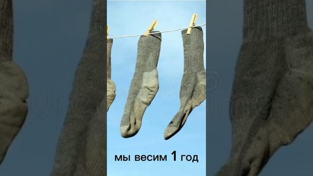 Носки смотреть онлайн