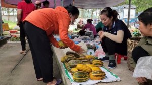 Daily life - Harvest and sell melons. cut grass to feed the fish | Ly Thi Ba