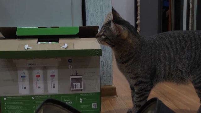 Про самостоятельную установку фильтров для воды | Аква-Фильтр смотреть онлайн