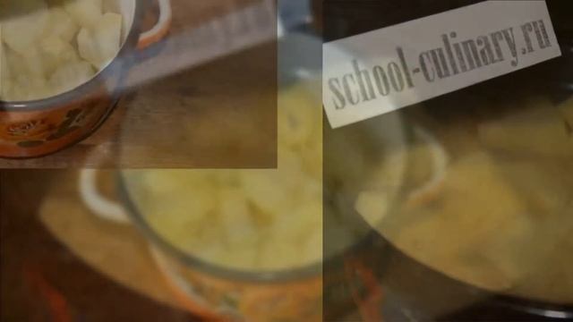 Животные в Зоопарках