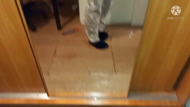 Приехали обновки, готовлю фаршированные перцы из заморозки и говяжью печень смотреть онлайн