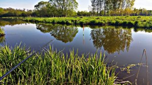 Ловля карася весной на удочку. Насадил на крючок по классики червя.