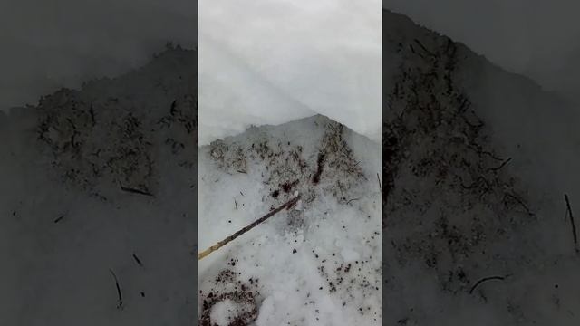 глубина промерзания в январе смотреть онлайн