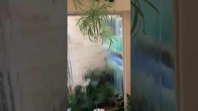 Интерьерный водопад по зеркалу в цветах смотреть онлайн