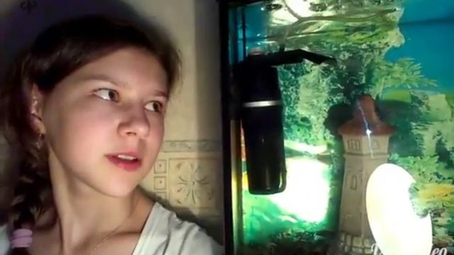 Наблюдения за аквариумом ЧАСТЬ 10 смотреть онлайн