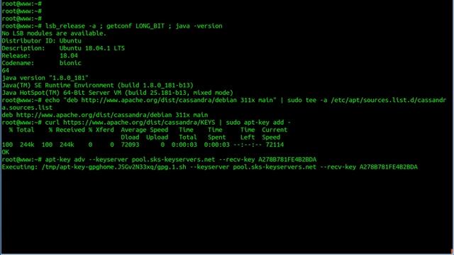 installing Apache Cassandra On Ubuntu 18.04 LTS Linux смотреть онлайн