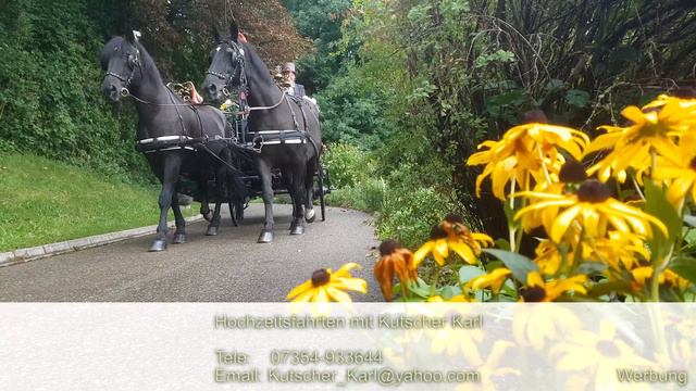 2020 Hochzeitsfahrten mit Kutscher Karl смотреть онлайн