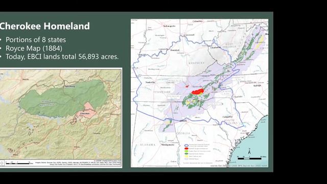 Sangers to Sochan - Plant Gathering in the Southern Appalachian Natural Parks with Maria Dunlavey смотреть онлайн
