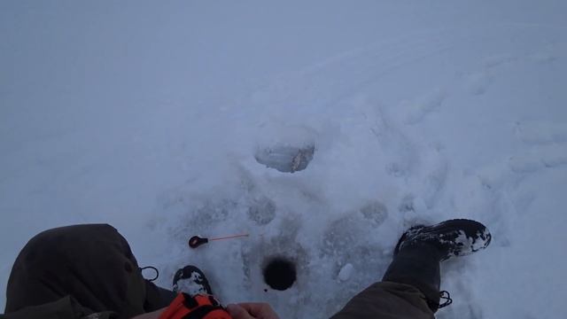 Что клюёт в непогоду на Еланчике? смотреть онлайн