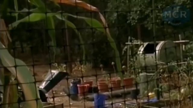 а наш князь тем временем спешил в шамаханское царство смотреть онлайн