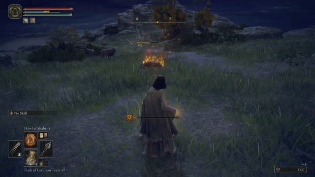 ELDEN RING Frenzied Burst & Howl of Shabriri смотреть онлайн