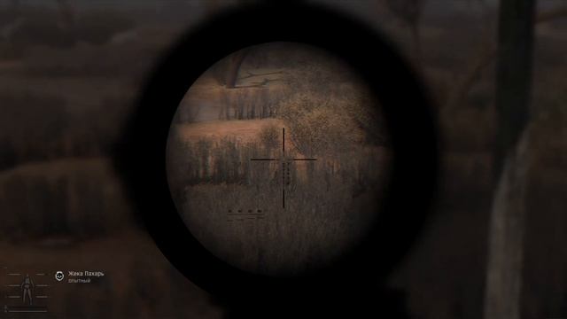 S.T.A.L.K.E.R. GAMMA Anomaly прохождение за одиночку #22 смотреть онлайн