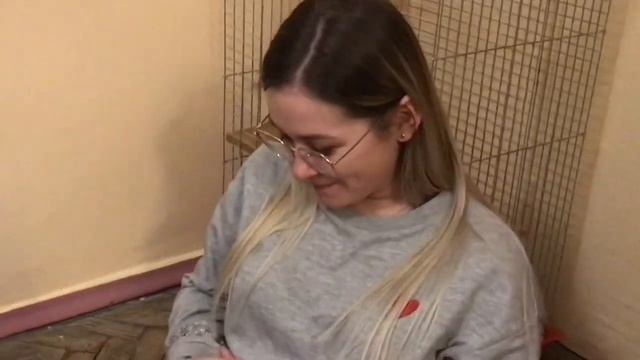 ПОКУПКА ХОРЬКА / НАЧАЛО ПРИКЛЮЧЕНИЙ АЛЬФА