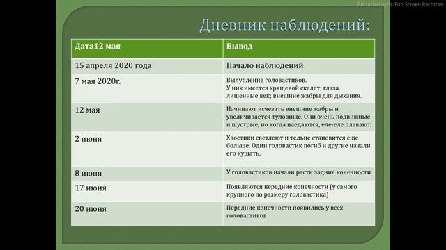 Гайдук Ольга 8 В Лягушка - путешественница смотреть онлайн