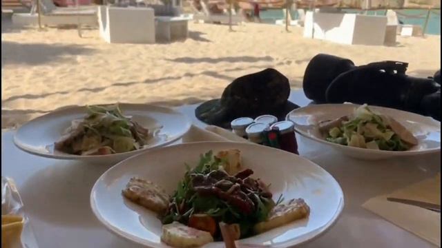 Best Beach Resort To Visit in Oman 🇴🇲 смотреть онлайн