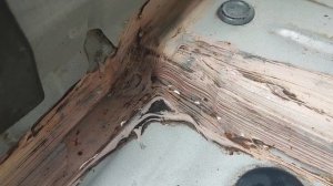 Шевроле кобальт багажнике набирается вода 2 часть