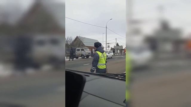 В селе Махалино Кузнецкого района ликвидируют домашний скот. смотреть онлайн