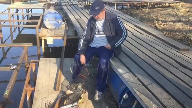 Рыбалка в Подмосковье без нормы вылова. смотреть онлайн