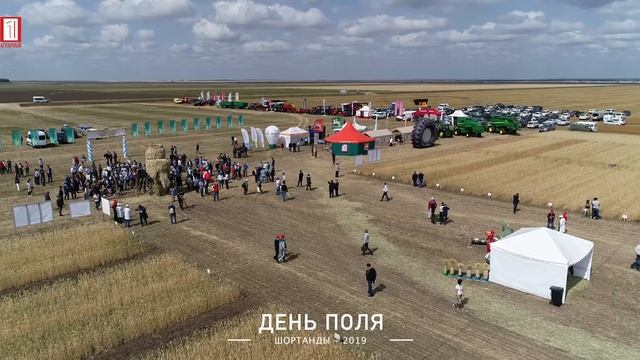 День поля 2019. Сова из соломы. Аэросъемка 4K | Field day 2019. Bird's eye view from dron смотреть онлайн