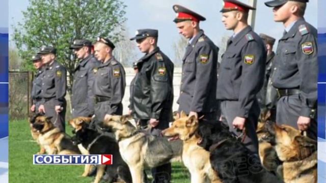 Самарские кинологи заняли второе место на всероссийских соревнованиях смотреть онлайн