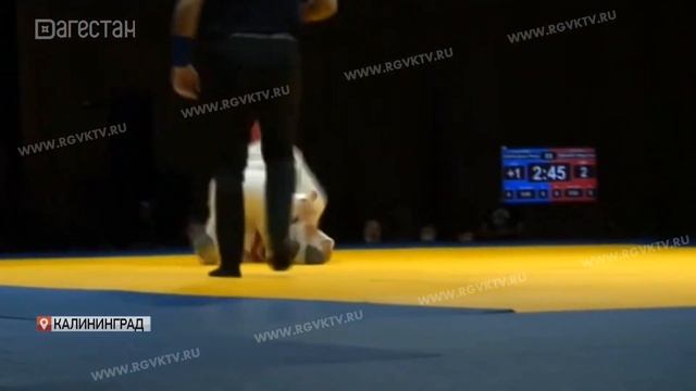 Асад Кадиров выиграл турнир по рукопашному бою в Калининграде смотреть онлайн