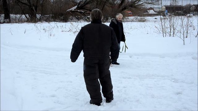 Алабай Барра - отработка управляемости в присутствии чужого смотреть онлайн