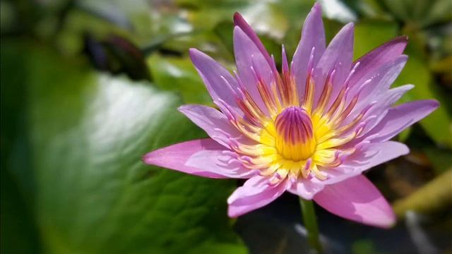 Музыка против стресса смотреть онлайн