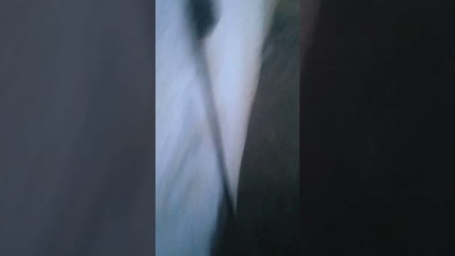 Газ 560 Штаер,как подключить свечи накала к приборной панели нового образца