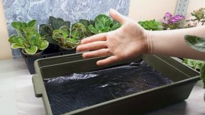 Что за чудо?! Капиллярные маты для полива! ??