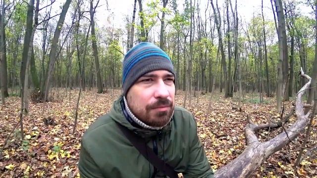 Реально ли воспитать своего ребенка НЕслужебным человеком? \ Передается ли "Прозрение" генетически? смотреть онлайн