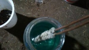 Осаживание серебра из раствора медью. (Лисий хвост)