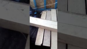 Липа. для резьбы по дереву. Заготовка липы.