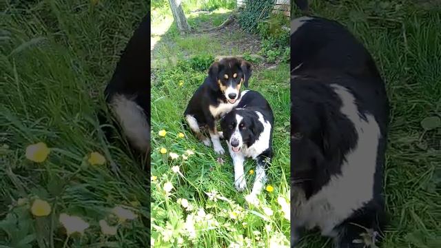 6 июня 2021 г. смотреть онлайн