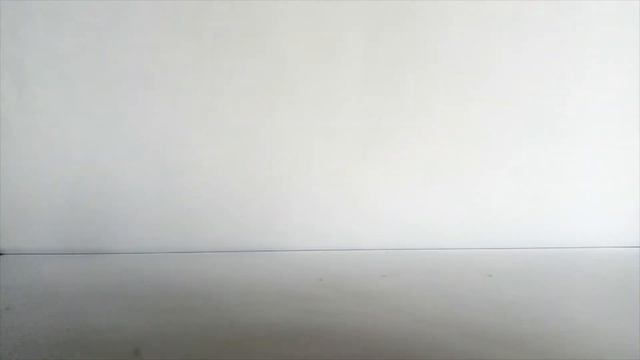 Lego Minecraft 21162,Taiga Adventures speed build