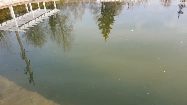 Проверяем пруд и водопад после зимовки смотреть онлайн