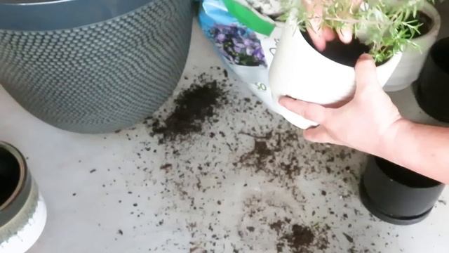 SUMMER PATIO MAKEOVER | Back Porch Refresh 2023 смотреть онлайн