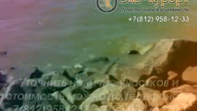 Эко-Курорт, агентство недвижимости Курортного района СПб смотреть онлайн