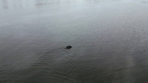 Обзор усилителя сигнала Wi-Fi для эхолотов DEEPER