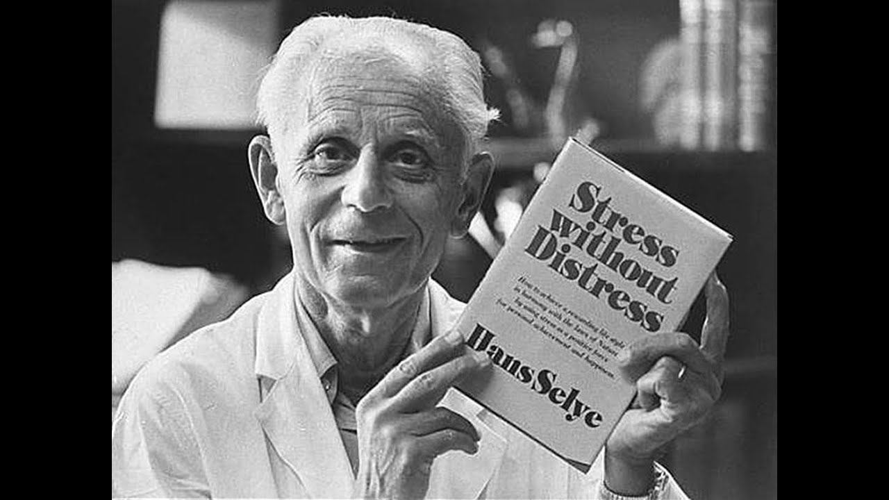 Теория Стресса Х.Селье и NBS. Theory Of Stress From H.Selye.
