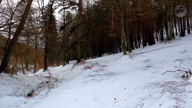 Загадочный и Таинственный Случай в Тайге! Не позволяй страху овладеть твоим сердцем! смотреть онлайн