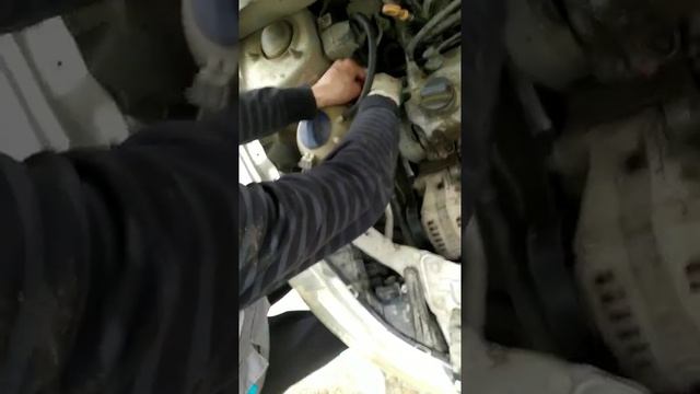 Замена ремня генератора Chery Bonus