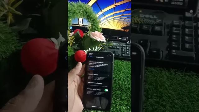 How to check iPhone battery is real or fake iOS 17 (2023) смотреть онлайн