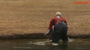 Несносный дед   Рыбалка